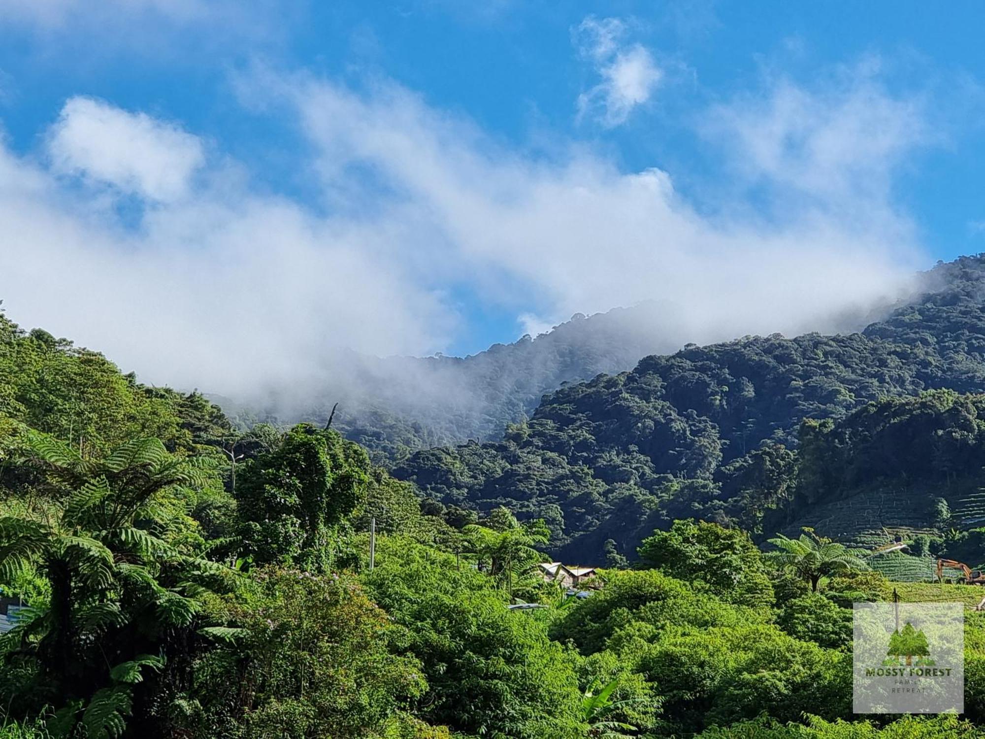 Clocktower 2 Homestay 2-7 Pax At Brinchang, Cameron Highlands Bagian luar foto