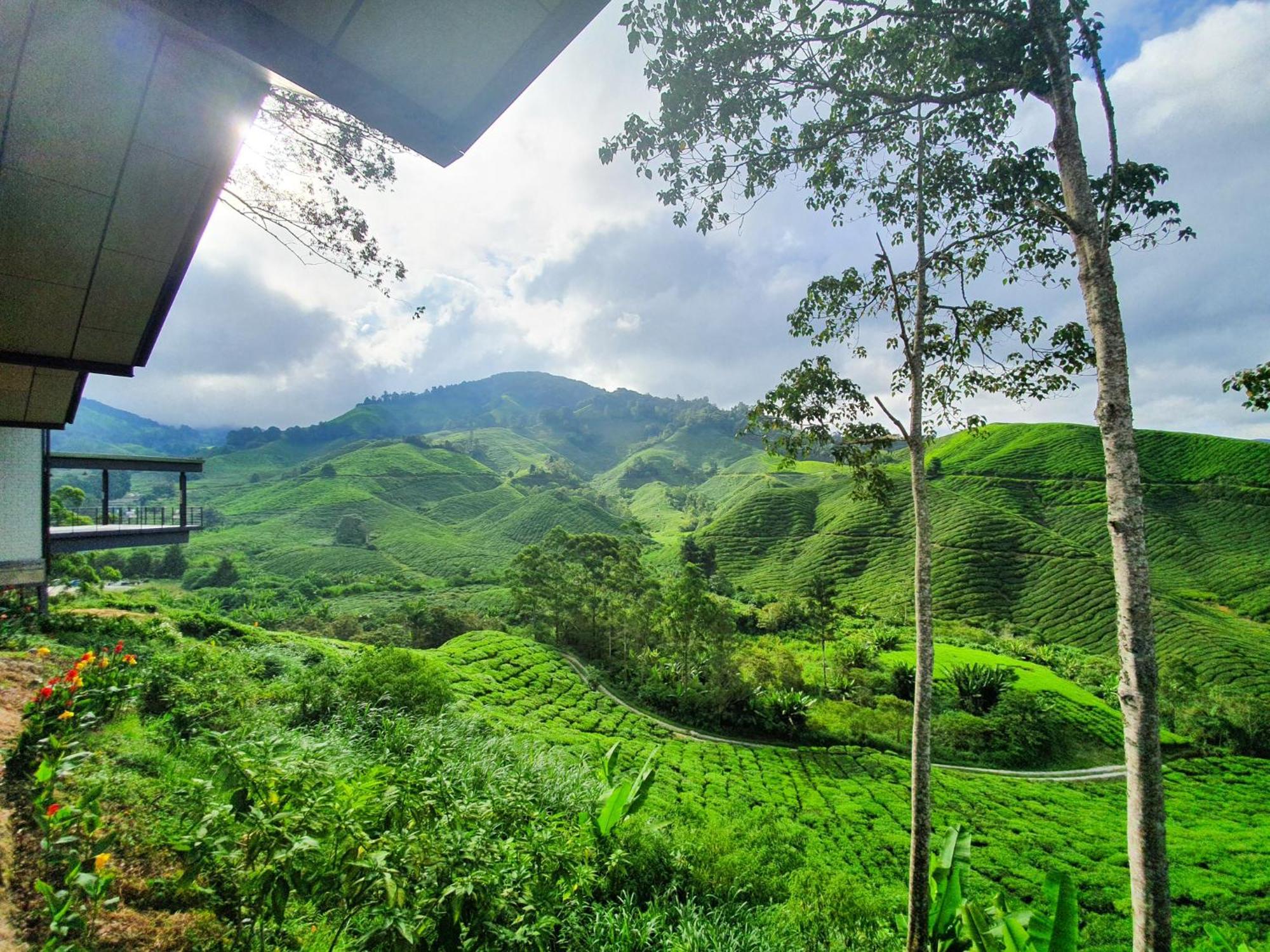 Clocktower 2 Homestay 2-7 Pax At Brinchang, Cameron Highlands Bagian luar foto