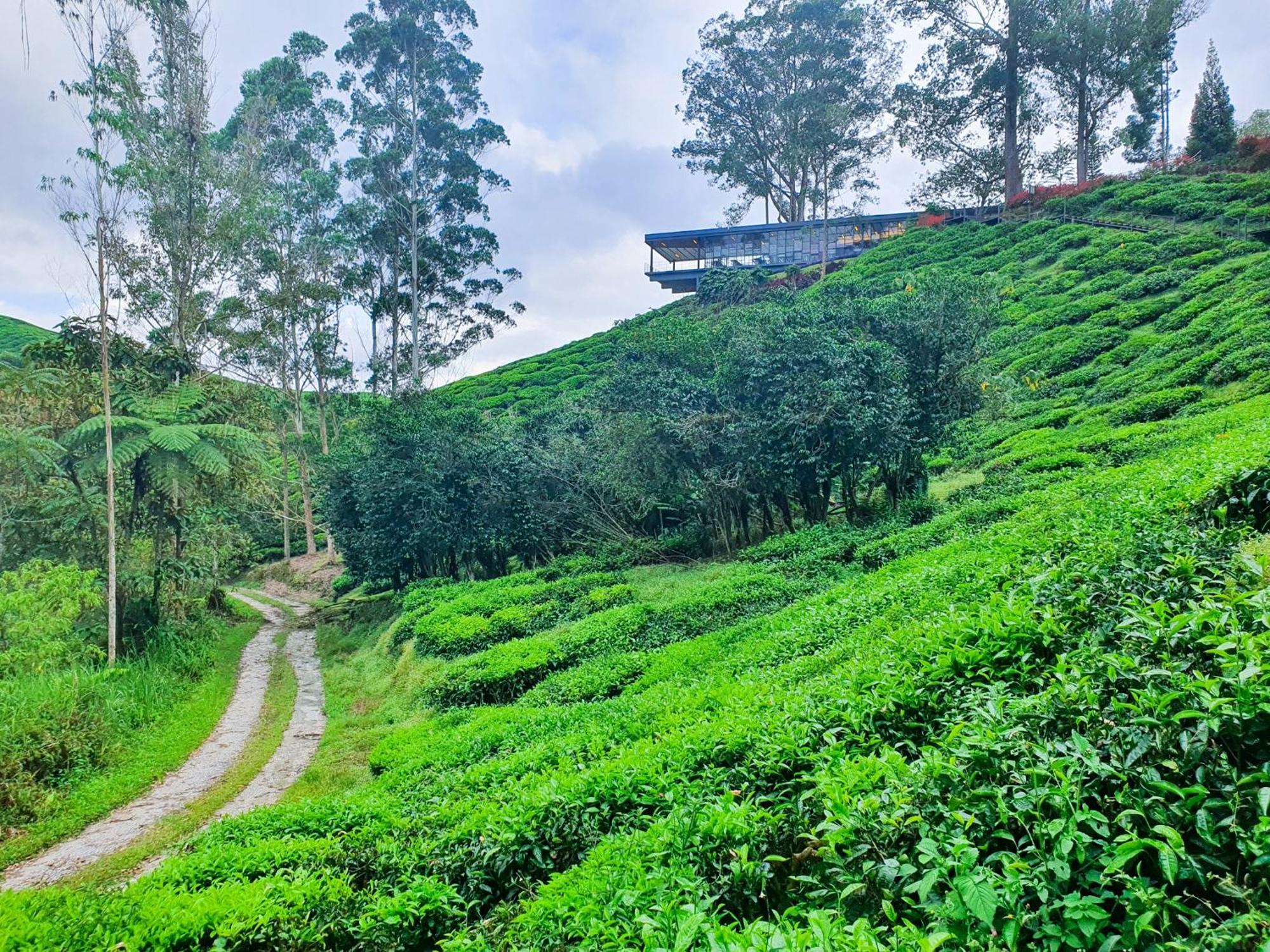 Clocktower 2 Homestay 2-7 Pax At Brinchang, Cameron Highlands Bagian luar foto