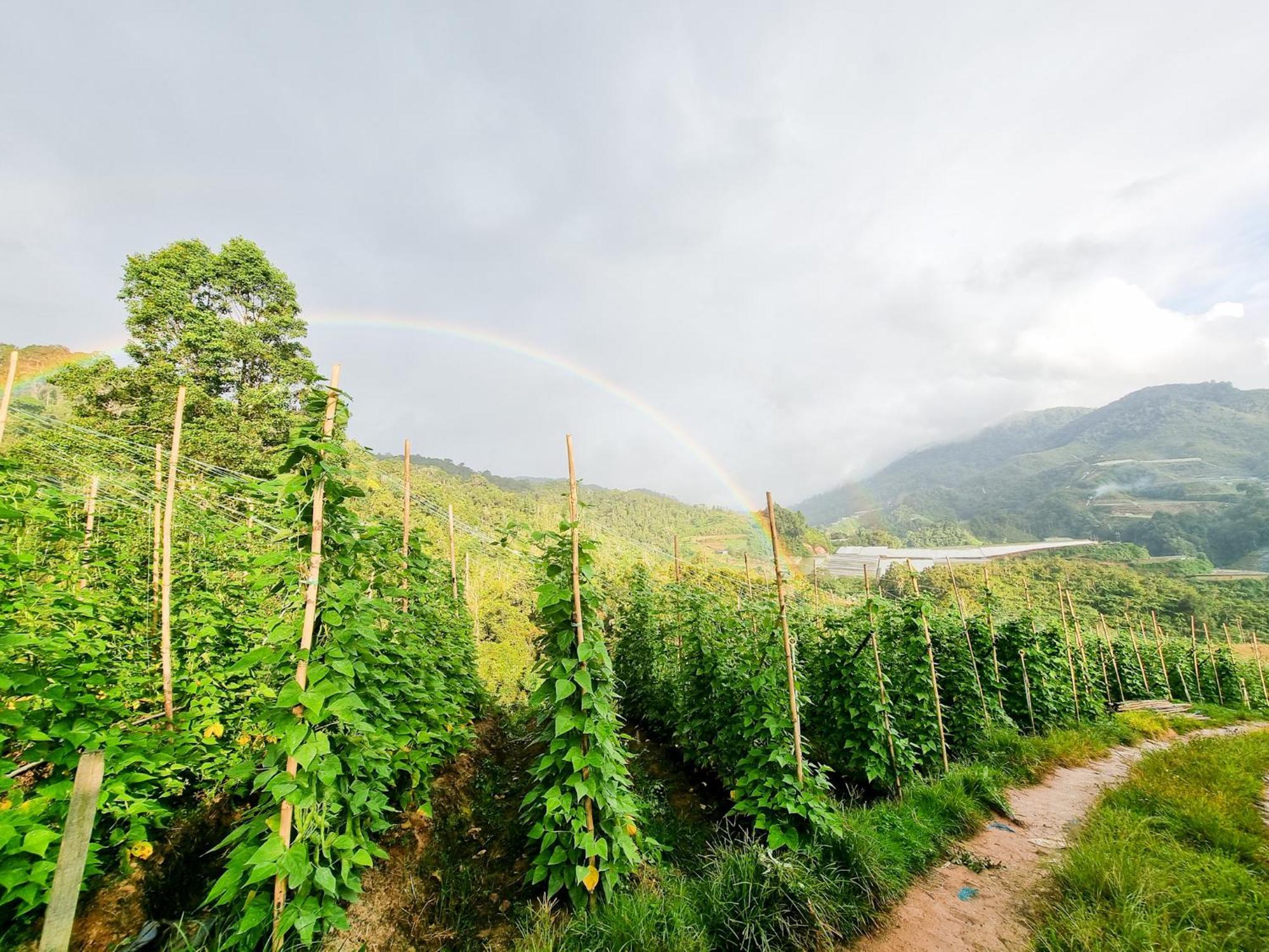 Clocktower 2 Homestay 2-7 Pax At Brinchang, Cameron Highlands Bagian luar foto